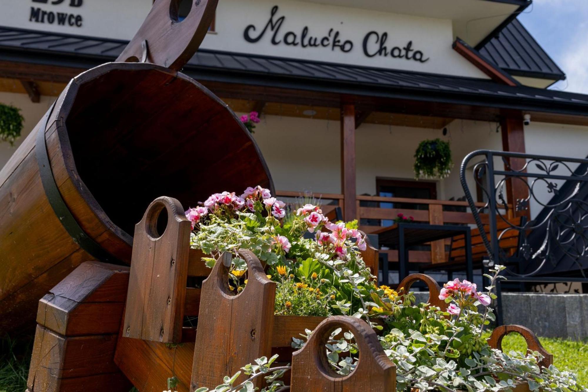 „Malucko Chata” Zakopane Ngoại thất bức ảnh